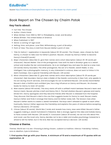 Book Report on The Chosen by Chaim Potok