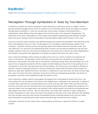 Perception Through Symbolism In ‘Sula’ by Toni Morrison