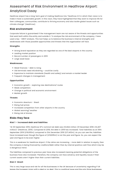 Assessment of Risk Environment in Heathrow Airport: Analytical Essay