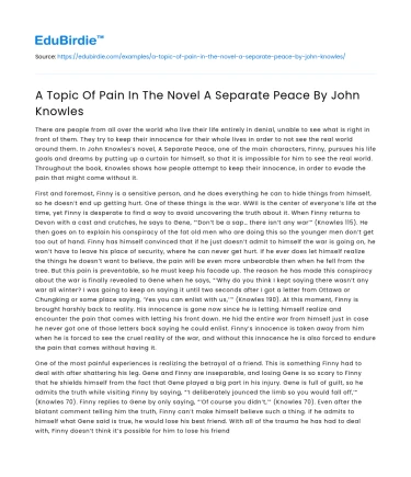 A Topic Of Pain In The Novel A Separate Peace By John Knowles