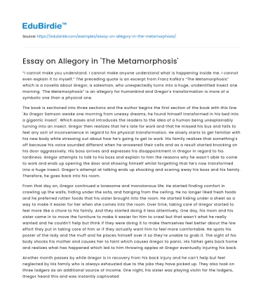 Essay on Allegory in ‘The Metamorphosis’
