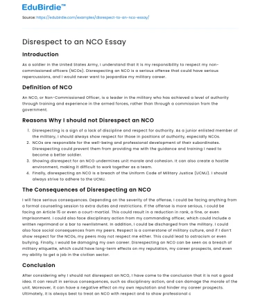 Disrespect to an NCO Essay