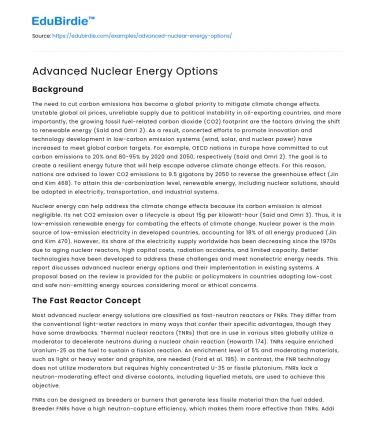 Advanced Nuclear Energy Options