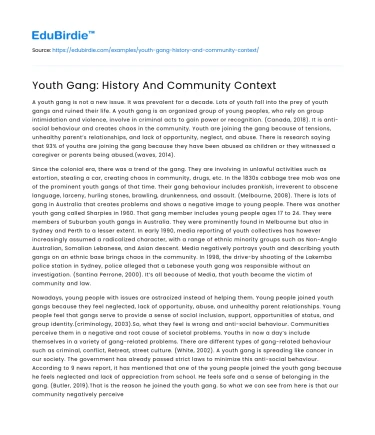 Youth Gang: History And Community Context