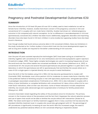 Pregnancy and Postnatal Developmental Outcomes ICSI