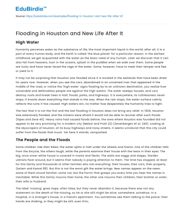 Flooding in Houston and New Life After It