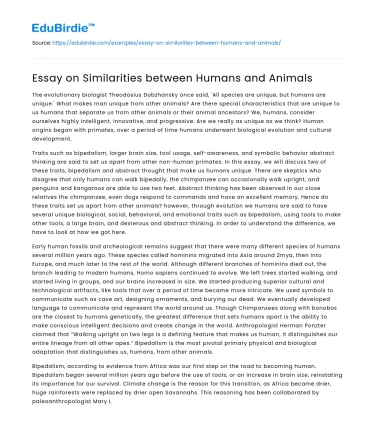 Essay on Similarities between Humans and Animals