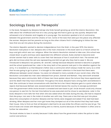 Sociology Essay on ‘Persepolis’