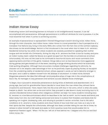 Indian Horse Essay