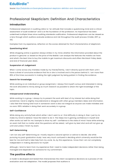 Professional Skepticism: Definition And Characteristics