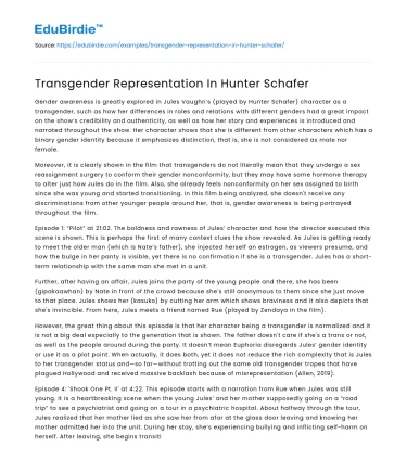 Transgender Representation In Hunter Schafer