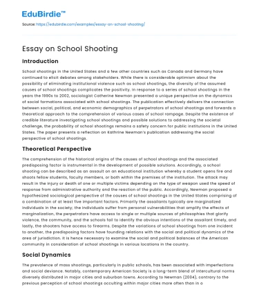 Essay on School Shooting