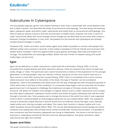 Subcultures In Cyberspace