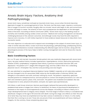 Anoxic Brain Injury: Factors, Anatomy And Pathophysiology