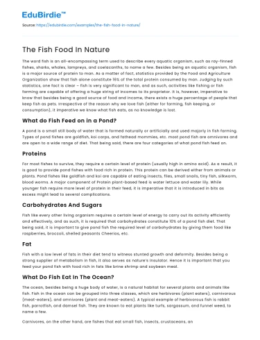 The Fish Food In Nature