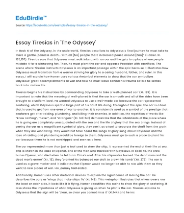 Essay Tiresias in ‘The Odyssey’