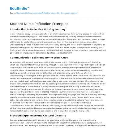 Student Nurse Reflection Examples