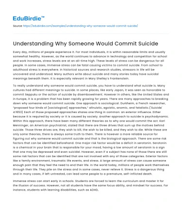 Understanding Why Someone Would Commit Suicide