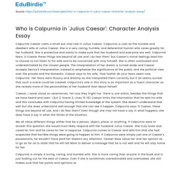 Who Is Calpurnia in ‘Julius Caesar’: Character Analysis Essay