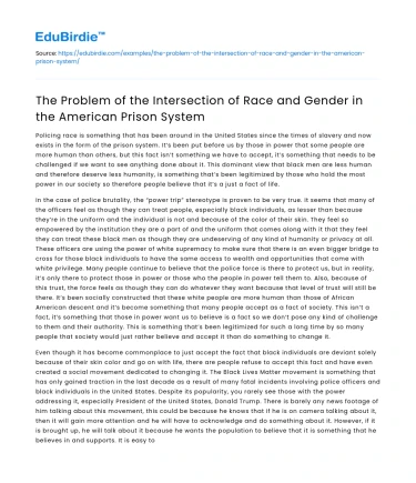 Race and Gender in the American Prison System