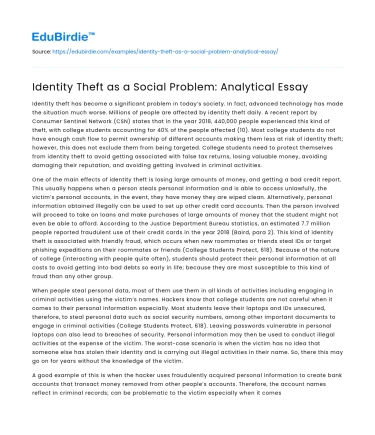 Identity Theft as a Social Problem: Analytical Essay