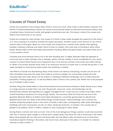 Causes of Flood Essay