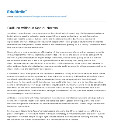 Culture without Social Norms