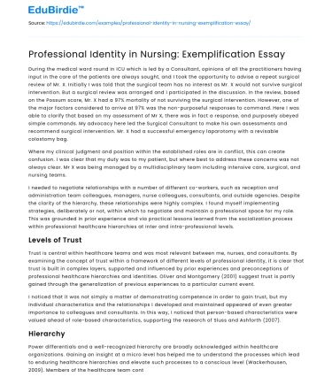 Professional Identity in Nursing: Exemplification Essay