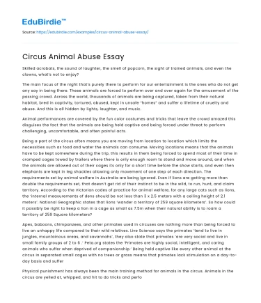 Circus Animal Abuse Essay