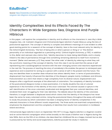 Identity Complexities in Wide Sargasso Sea, Disgrace & Purple Hibiscus