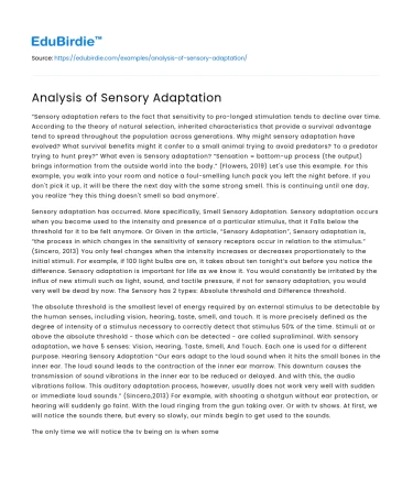 Analysis of Sensory Adaptation