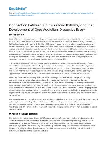 Brain’s Reward Pathway & Drug Addiction
