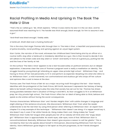 Racial Profiling In Media And Uprising In The Book The Hate U Give