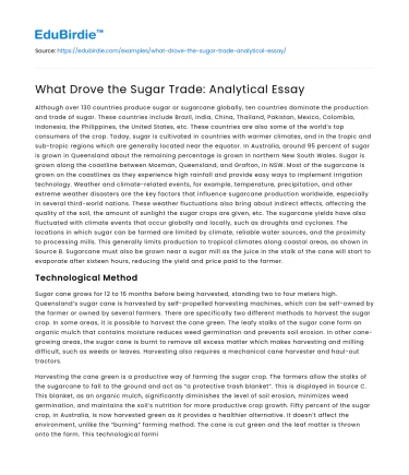 What Drove the Sugar Trade: Analytical Essay