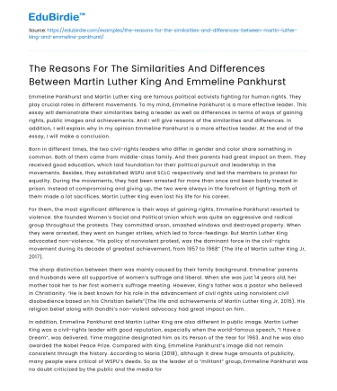 Similarities and Differences Between Martin Luther King and Pankhurst