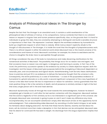 Analysis of Philosophical Ideas in The Stranger by Camus