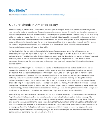Culture Shock in America Essay