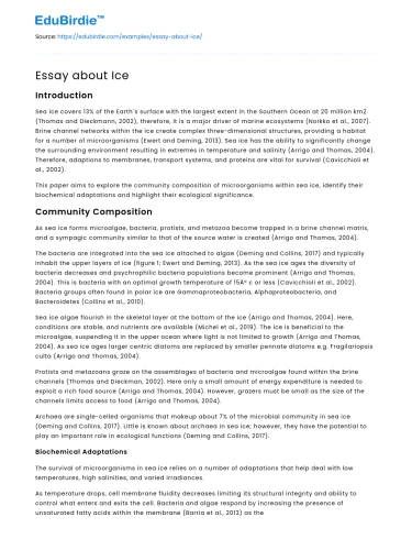 Essay about Ice
