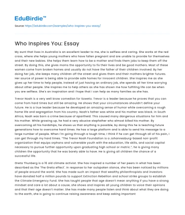 Who Inspires You: Essay