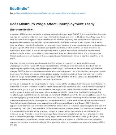 Does Minimum Wage Affect Unemployment: Essay