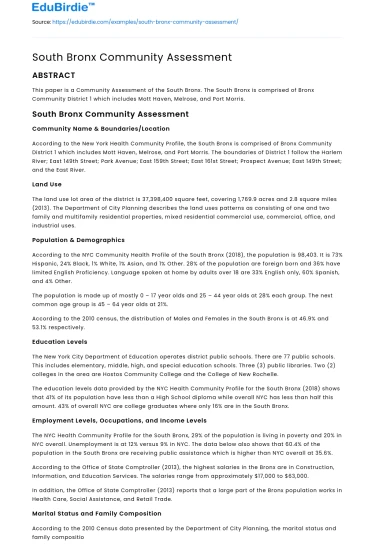 South Bronx Community Assessment
