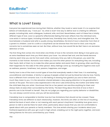 What Is Love? Essay