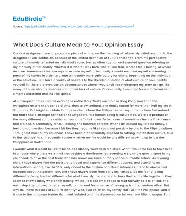 What Does Culture Mean to You: Opinion Essay