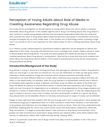 Young Adults’ Views on Media in Drug Abuse Awareness