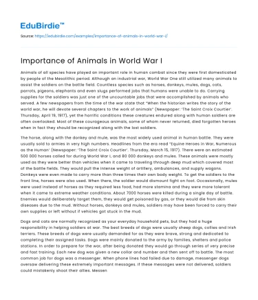 Importance of Animals in World War I