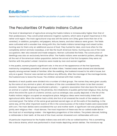 The Peculiarities Of Pueblo Indians Culture