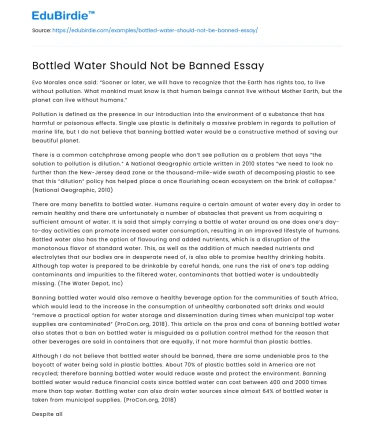 Bottled Water Should Not be Banned Essay