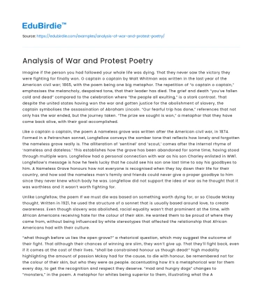 Analysis of War and Protest Poetry