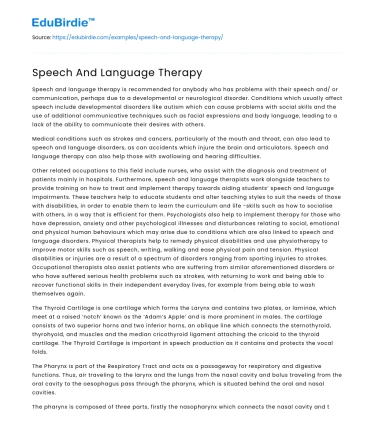 Speech And Language Therapy