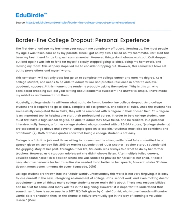 Border-line College Dropout: Personal Experience